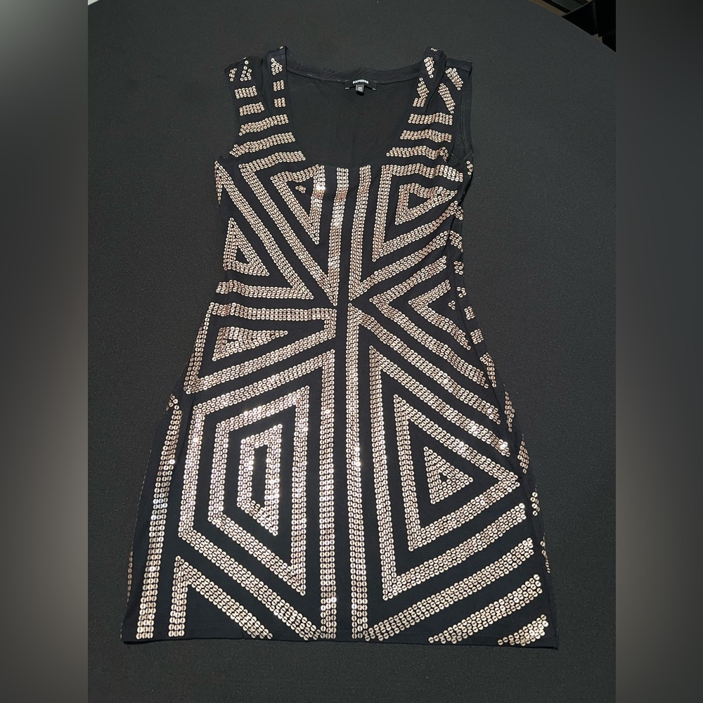 Express Sequin Dress